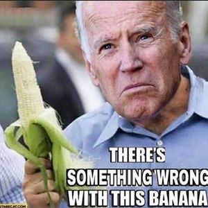 Meet your Posher, Luis